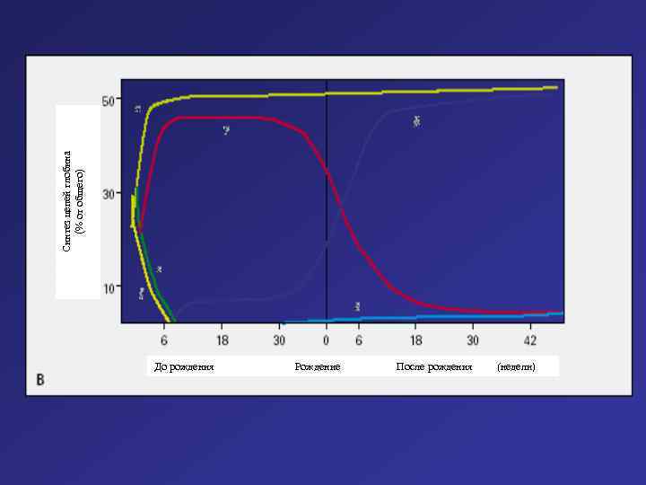 Синтез цепей глобина (% от общего) До рождения Рождение После рождения (недели) 