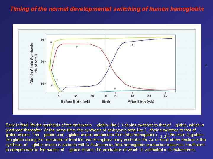 Timing of the normal developmental switching of human hemoglobin Early in fetal life the