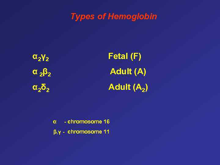 Types of Hemoglobin α 2γ 2 Fetal (F) α 2 β 2 Adult (A)