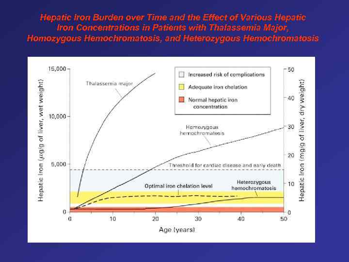 Hepatic Iron Burden over Time and the Effect of Various Hepatic Iron Concentrations in