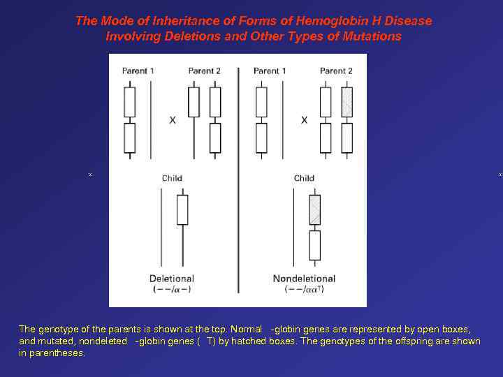 The Mode of Inheritance of Forms of Hemoglobin H Disease Involving Deletions and Other