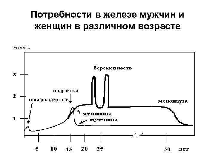 Потребности в железе мужчин и женщин в различном возрасте 