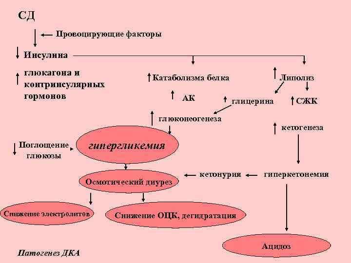 Патогенетические методы коррекции гипергликемии и гиперхолестеринемии схема