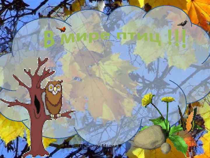  Павловой Марии ♥ 