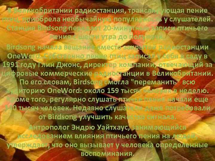 В Великобритании радиостанция, транслирующая пение птиц, приобрела необычайную популярность у слушателей. Станция Birdsong передает
