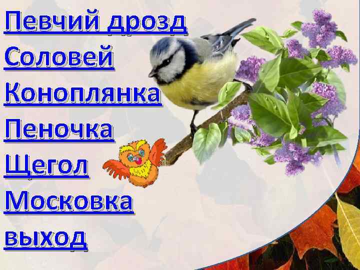 Певчий дрозд Соловей Коноплянка Пеночка Щегол Московка выход 