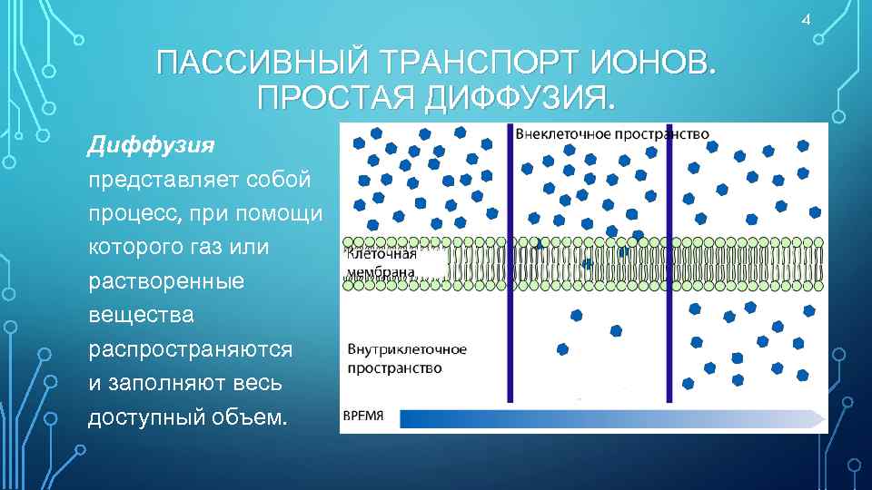 4 ПАССИВНЫЙ ТРАНСПОРТ ИОНОВ. ПРОСТАЯ ДИФФУЗИЯ. Диффузия представляет собой процесс, при помощи которого газ