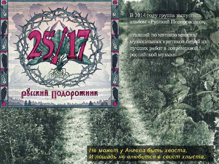 В 2014 году группа выпустила альбом «Русский Подорожник» , ставший по мнению многих музыкальных