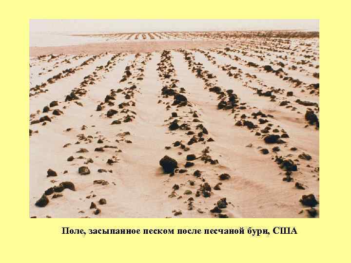 Поле, засыпанное песком после песчаной бури, США 