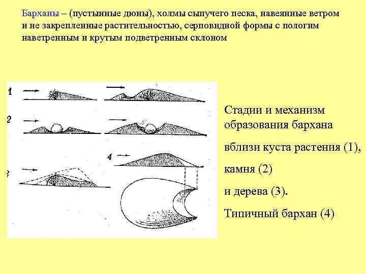 Укажите причины образования барханов