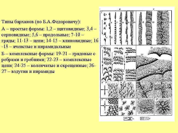 Типы барханов (по Б. А. Федоровичу): А – простые формы: 1, 2 – щитовидные;