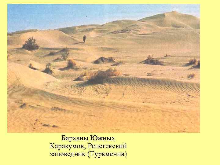 Барханы Южных Каракумов, Репетекский заповедник (Туркмения) 