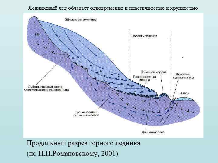 Ледниковый лед обладает одновременно и пластичностью и хрупкостью Продольный разрез горного ледника (по Н.
