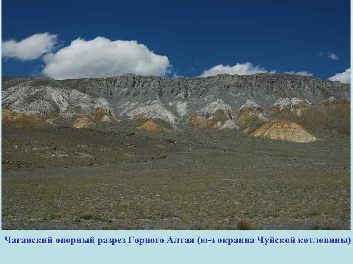 Чаганский опорный разрез Горного Алтая (ю-з окраина Чуйской котловины) 