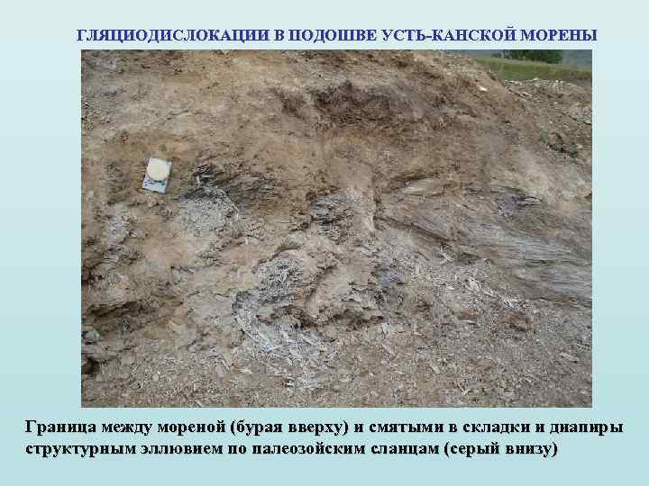 ГЛЯЦИОДИСЛОКАЦИИ В ПОДОШВЕ УСТЬ-КАНСКОЙ МОРЕНЫ Граница между мореной (бурая вверху) и смятыми в складки