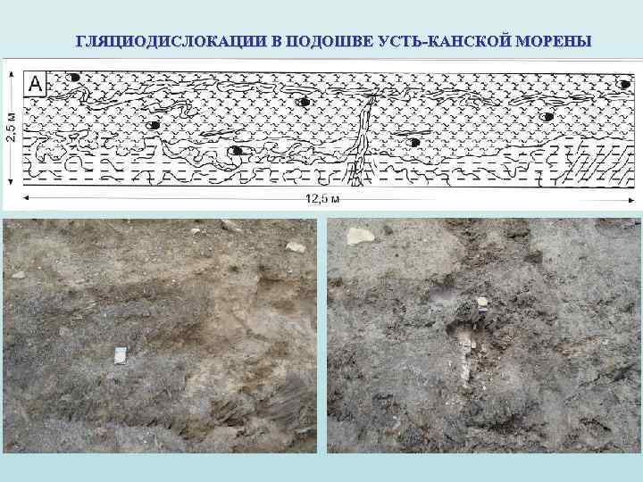 ГЛЯЦИОДИСЛОКАЦИИ В ПОДОШВЕ УСТЬ-КАНСКОЙ МОРЕНЫ 