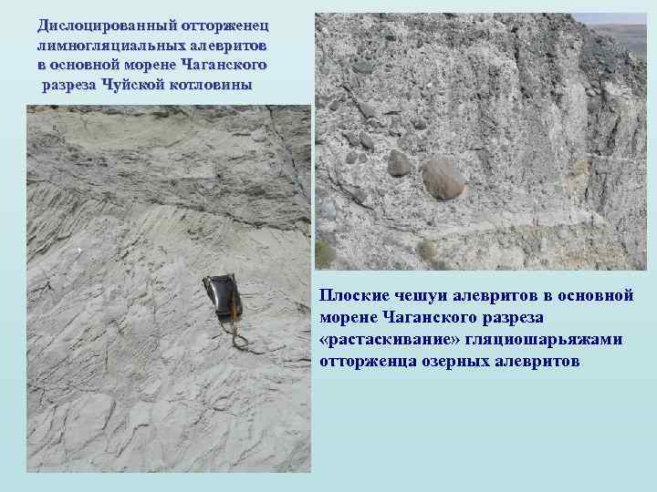 Дислоцированный отторженец лимногляциальных алевритов в основной морене Чаганского разреза Чуйской котловины Плоские чешуи алевритов