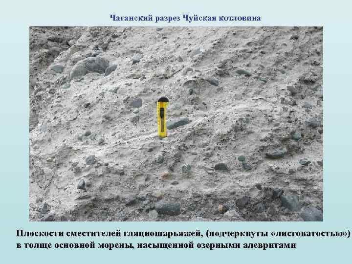 Чаганский разрез Чуйская котловина Плоскости сместителей гляциошарьяжей, (подчеркнуты «листоватостью» ) в толще основной морены,