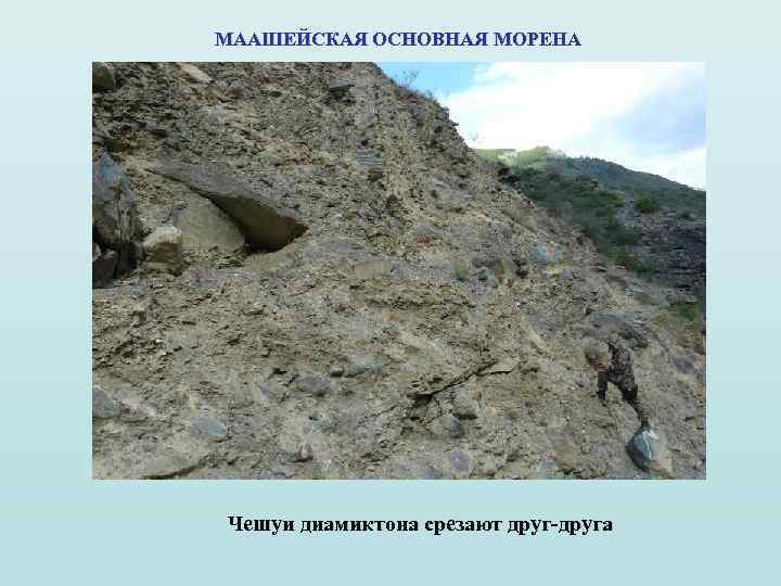 МААШЕЙСКАЯ ОСНОВНАЯ МОРЕНА Чешуи диамиктона срезают друг-друга 