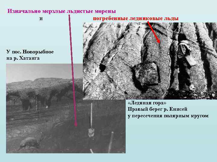 Изначально мерзлые льдистые морены и погребенные ледниковые льды У пос. Новорыбное на р. Хатанга
