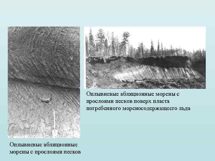 Оплывневые абляционные морены с прослоями песков поверх пласта погребенного мореносодержащеего льда Оплывневые абляционные морены