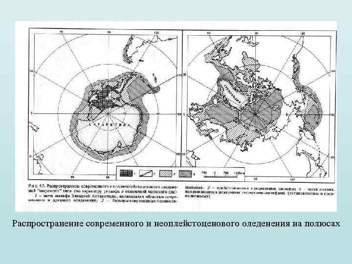 Распространение современного и неоплейстоценового оледенения на полюсах 