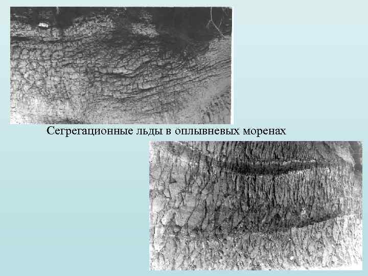 Сегрегационные льды в оплывневых моренах 