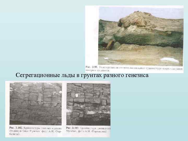 Сегрегационные льды в грунтах разного генезиса 