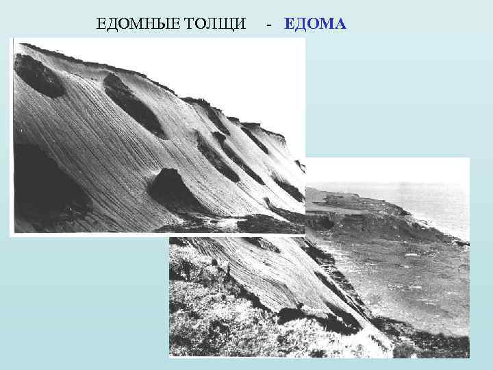 ЕДОМНЫЕ ТОЛЩИ - ЕДОМА 