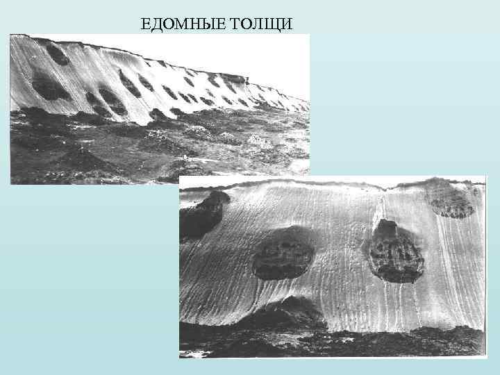 ЕДОМНЫЕ ТОЛЩИ 