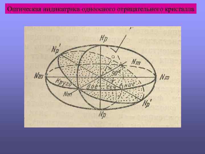 Оптическая индикатриса одноосного отрицательного кристалла 