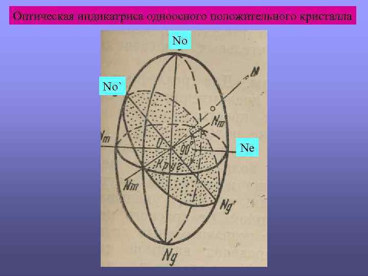 Оптическая индикатриса одноосного положительного кристалла No No` Ne 