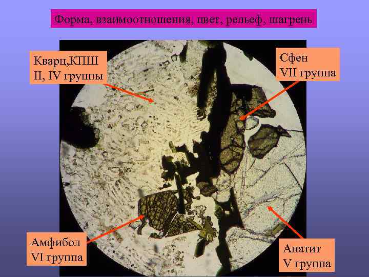 Форма, взаимоотношения, цвет, рельеф, шагрень Кварц, КПШ II, IV группы Сфен VII группа Амфибол
