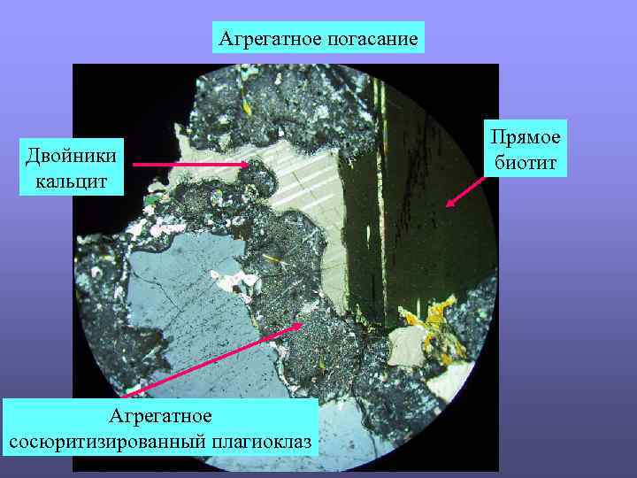 Агрегатное погасание Двойники кальцит Агрегатное сосюритизированный плагиоклаз Прямое биотит 