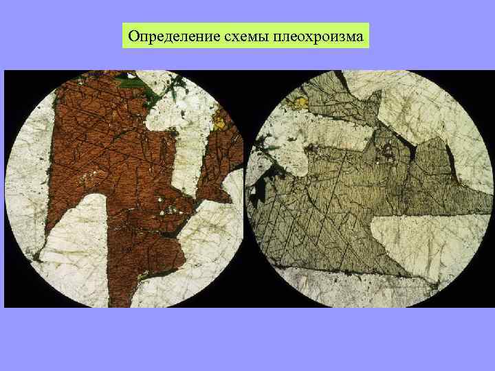 Определение схемы плеохроизма 
