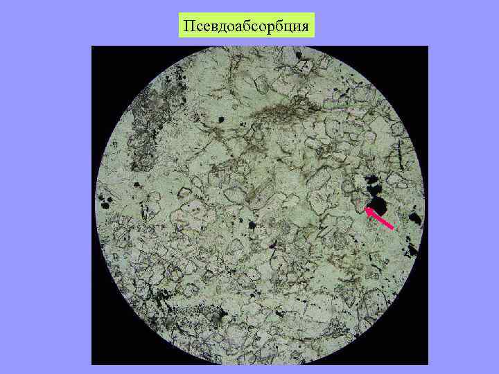 Псевдоабсорбция 