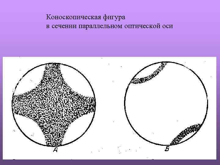 Коноскопическая фигура в сечении параллельном оптической оси 