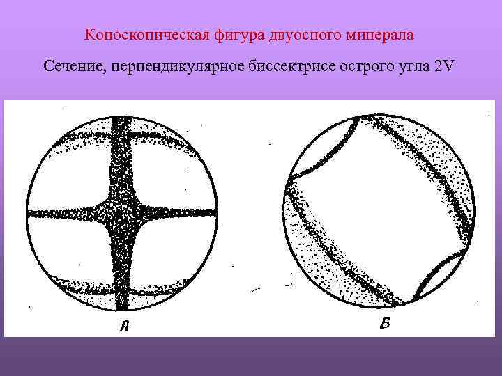 Коноскопическая фигура двуосного минерала Сечение, перпендикулярное биссектрисе острого угла 2 V 