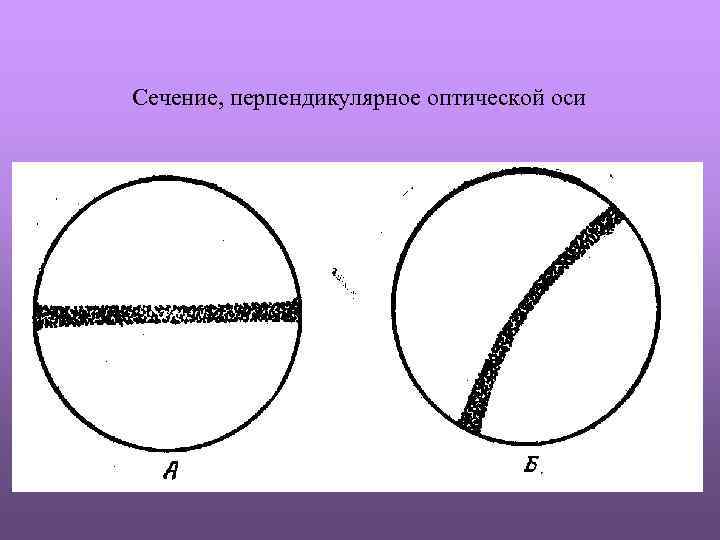 Сечение, перпендикулярное оптической оси 