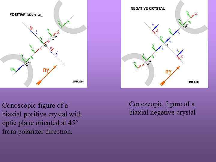 Conoscopic figure of a biaxial positive crystal with optic plane oriented at 45° from