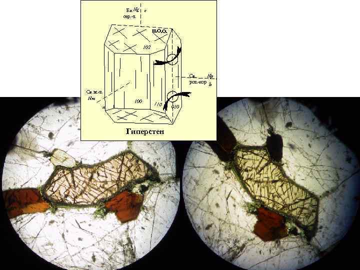 Бл. Ng сер. -з. c П. О. О. 102 Св. Np роз. -кор b