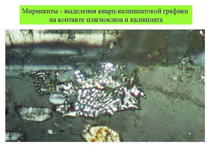 Мирмекиты - выделения кварц-калишпатовой графики на контакте плагиоклаза и калишпата 
