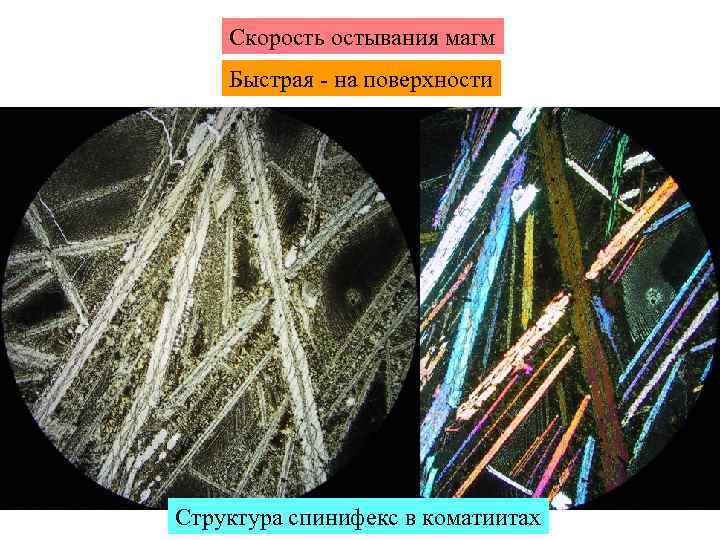 Скорость остывания магм Быстрая - на поверхности Структура спинифекс в коматиитах 