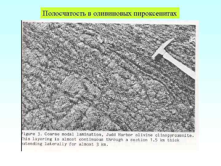 Полосчатость в оливиновых пироксенитах 