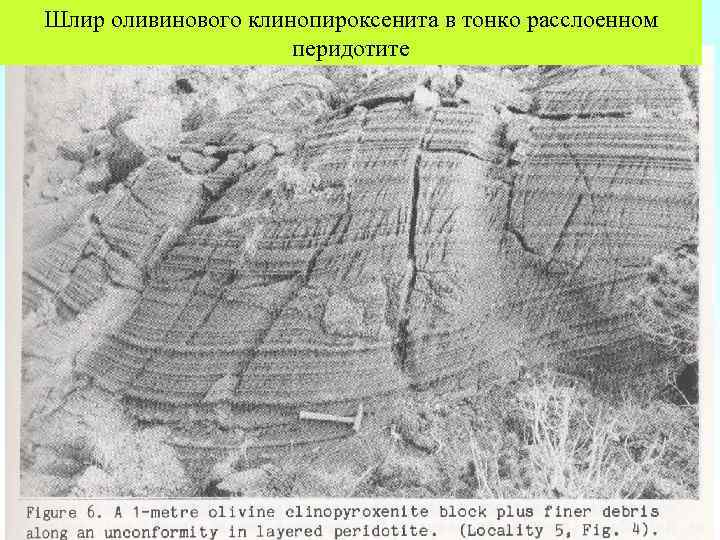 Шлир оливинового клинопироксенита в тонко расслоенном перидотите 