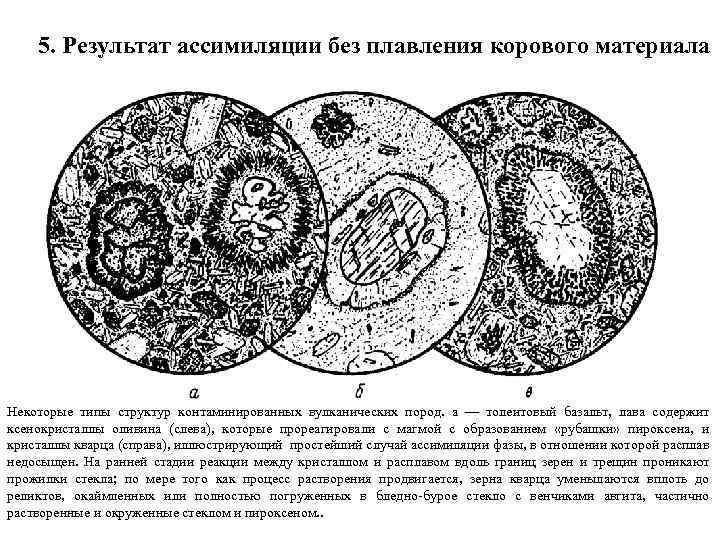 5. Результат ассимиляции без плавления корового материала Некоторые типы структур контаминированных вулканических пород. а