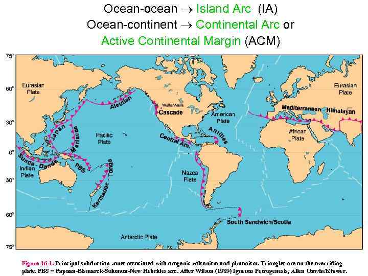 Ocean ocean Island Arc (IA) Ocean continent Continental Arc or Active Continental Margin (ACM)