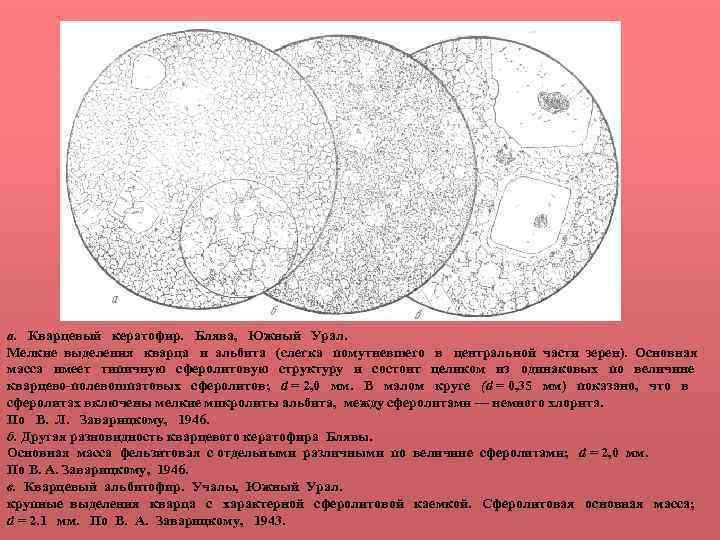 а. Кварцевый кератофир. Блява, Южный Урал. Мелкие выделения кварца и альбита (слегка помутневшего в