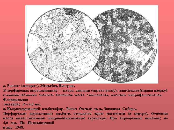 а. Риолит (липарит). Эйзеыбах, Венгрия. В порфировых вкрапленниках — кварц, санидин (справа внизу), плагиоклаз