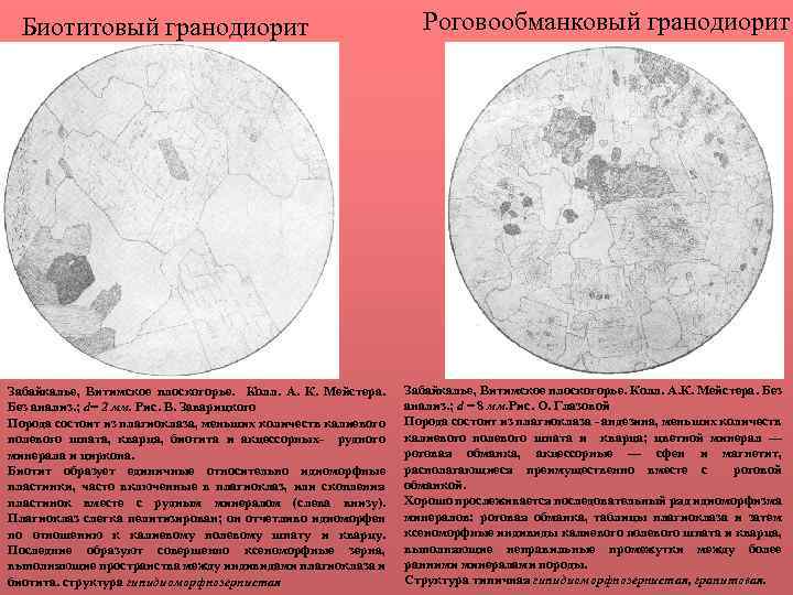 Биотитовый гранодиорит Забайкалье, Витимское плоскогорье. Колл. А. К. Мейстера. Без анализ. ; d= 2